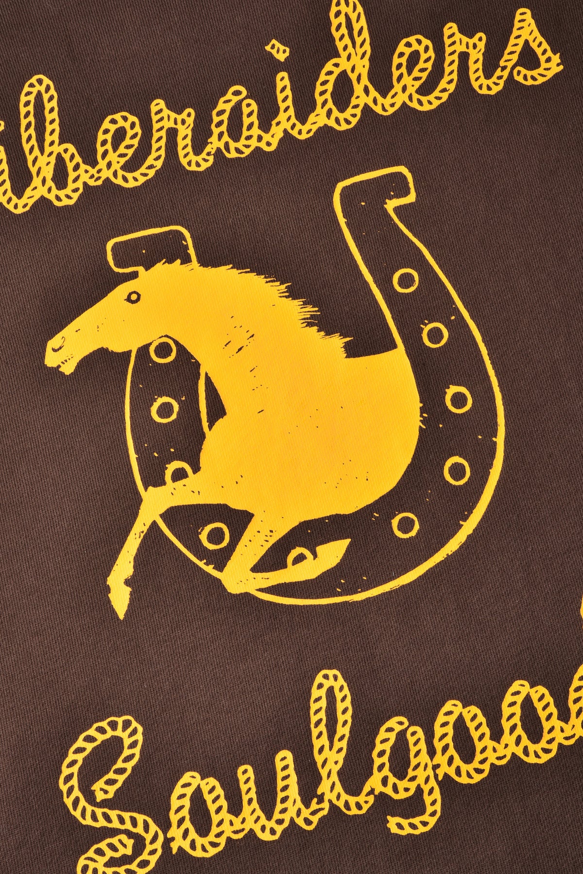 Yellow graphic of a horse in a horseshoe on a brown background with text.