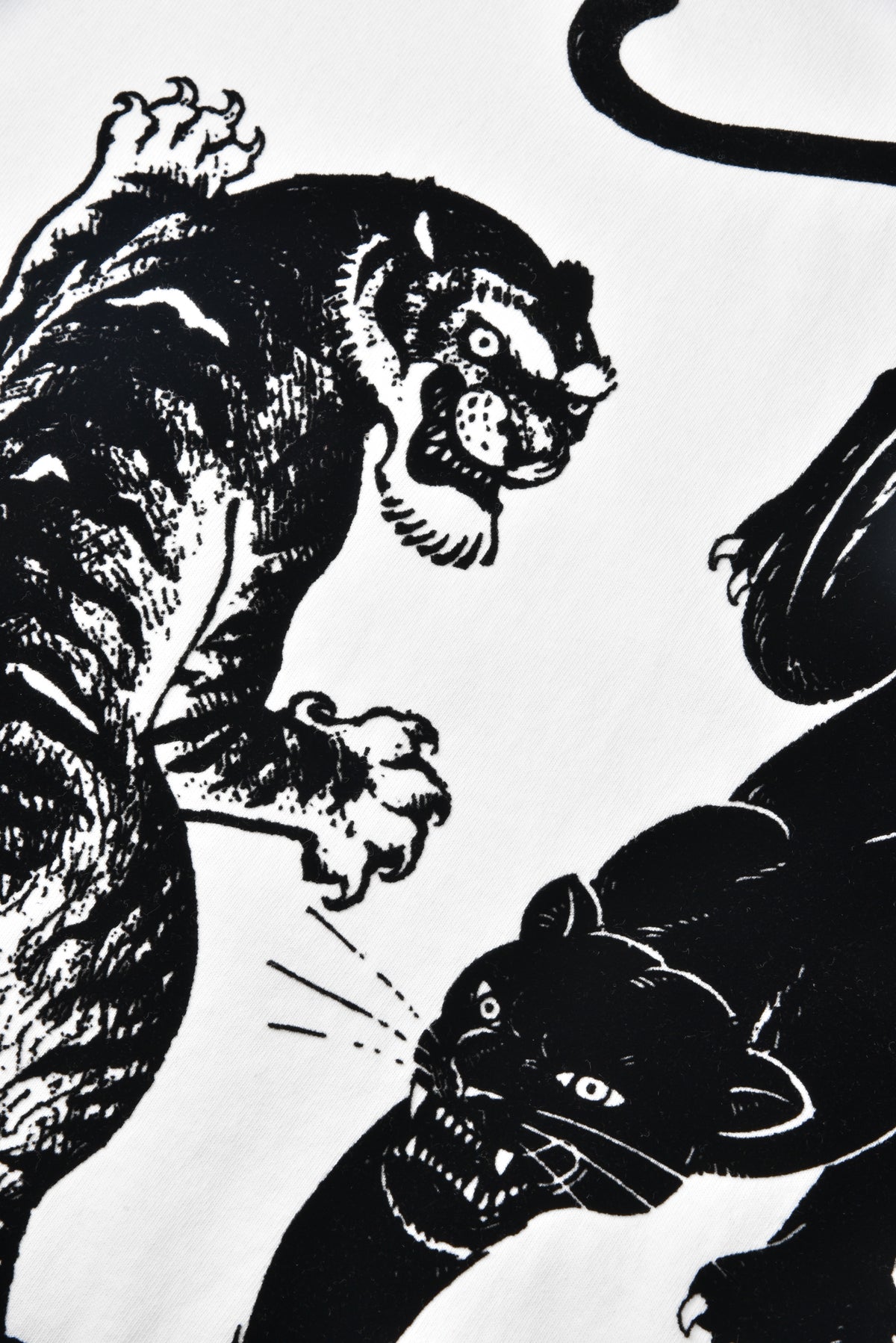 Black and white illustration of a tiger and panther in a dynamic pose.
